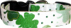 Large Patchwork Shamrocks Dog Collar